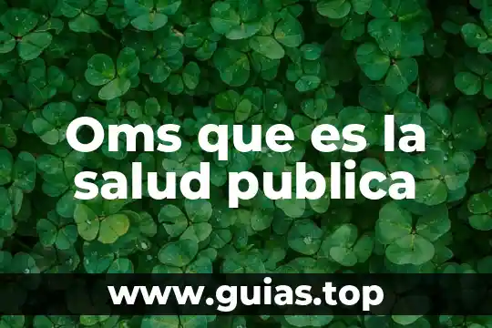 Qué es una reglas concepto 4 Oms que es la salud publica