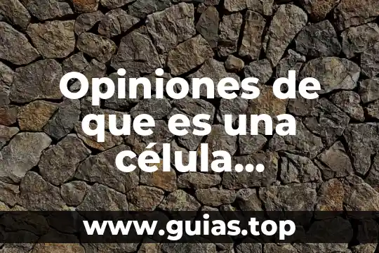 Que es citoplasma en la celula animal 3 Opiniones de que es una célula procariota
