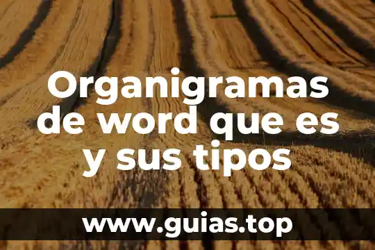 Investigar que es un adverbio y sus tipos 7 Organigramas de word que es y sus tipos