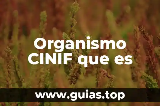 Qué es la diabetes y qué alteraciones causa al organismo 3 Organismo CINIF que es