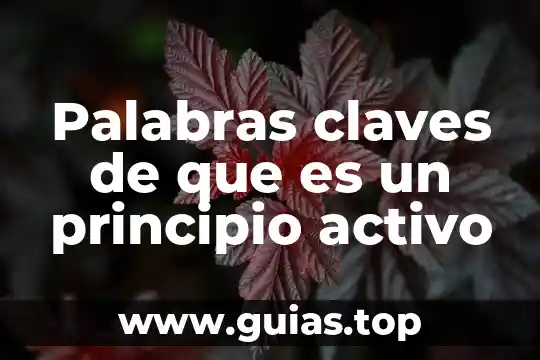 Que es el enfoque segun aprendizajes claves 7 Palabras claves de que es un principio activo
