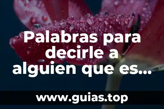 Animal que es muy sentido 5 Palabras para decirle a alguien que es muy guapa