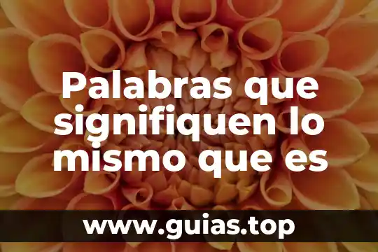 Que es ser responsable con uno mismo 7 Palabras que signifiquen lo mismo que es