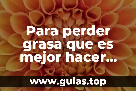 Por que es importante la grasa en el embarazo 8 Para perder grasa que es mejor hacer cardio o peso