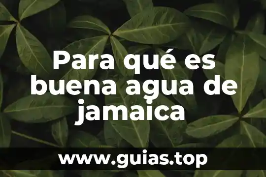 Para que es bueno la jamaica 5 Para qué es buena agua de jamaica