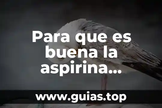 Que es el tronco en la figura humana 5 Para que es buena la aspirina protect