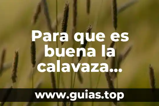 Qué es más grande la luna o tierra 5 Para que es buena la calavaza grande