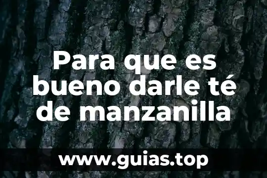 Para que es bueno el te de chicura 4 Para que es bueno darle té de manzanilla