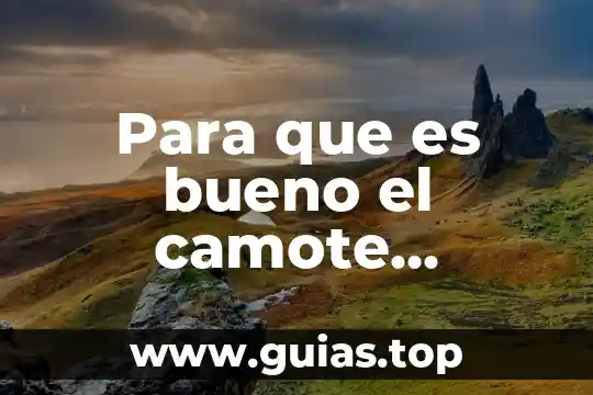 Que es lo bueno en filosofía 8 Para que es bueno el camote anaranjado