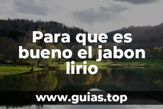 Definición que es un docente cita 7 Para que es bueno el jabon lirio