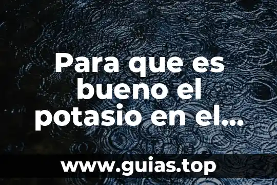 Qué es un mp3 en el cuerpo humano 8 Para que es bueno el potasio en el cuerpo humano