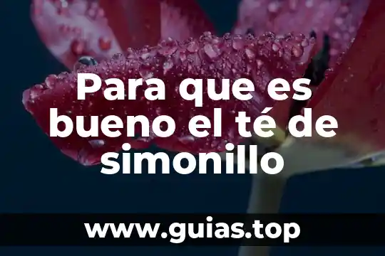 Que es te meto mi webo por sonso 5 Para que es bueno el té de simonillo