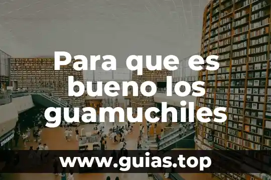 Que es bueno para recuperar el sueño 3 Para que es bueno los guamuchiles