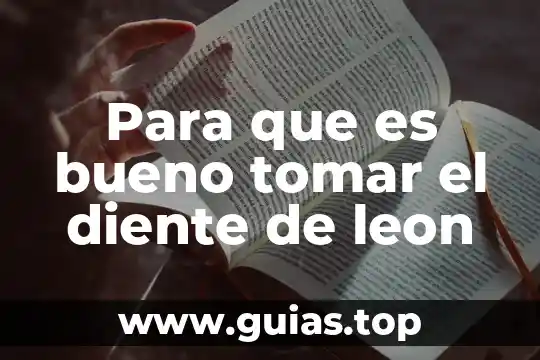 Que es mejor tomar agua caliente o agua fria 7 Para que es bueno tomar el diente de leon