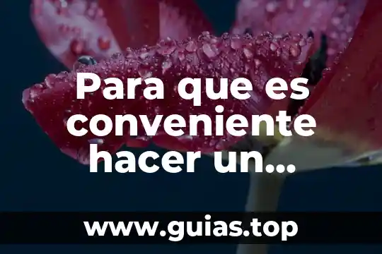 Como hacer que es un análisis de caso ejemplo 4 Para que es conveniente hacer un ensayo