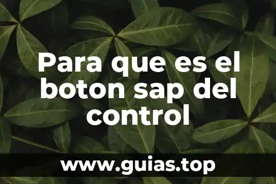 Qué es el DCS definición 4 Para que es el boton sap del control