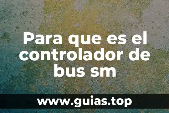 Qué es un bus de datos y qué tipos existen 4 Para que es el controlador de bus sm