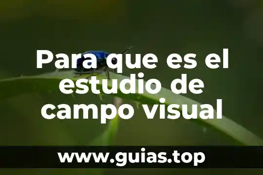 Que es la rietlno visual y los tipos que comprende 4 Para que es el estudio de campo visual