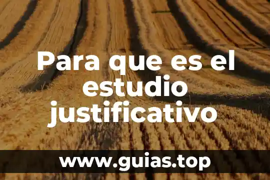 Concepto de que es alteracion auditiva en yahoo 4 Para que es el estudio justificativo