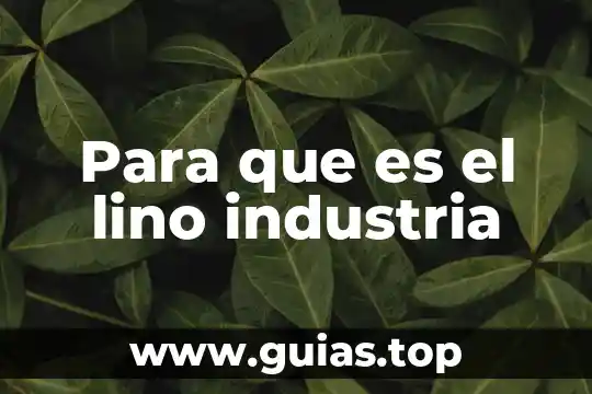 Para que es el lino industria
