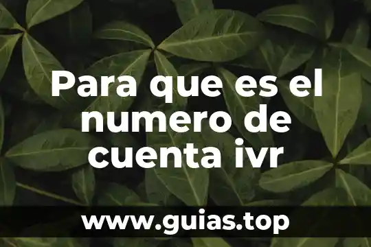 Qué es el número de onu 7 Para que es el numero de cuenta ivr