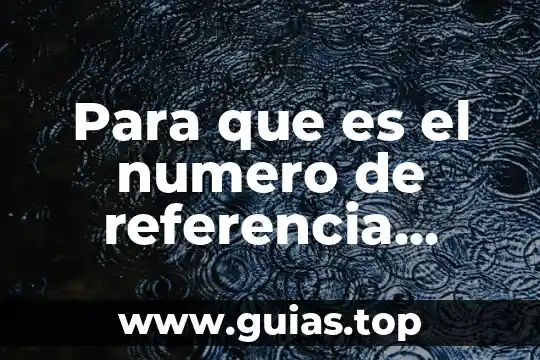 Que es terminación bancaria 3 Para que es el numero de referencia bancaria