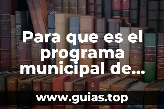 Tipos de paisaje urbano que es 6 Para que es el programa municipal de desarrollo urbano