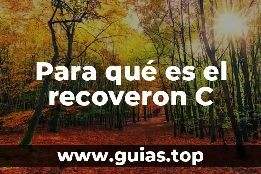 Domainupdown c que es 4 Para qué es el recoveron C