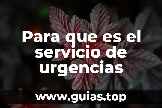Que es inversion a corto plazo y tipos de inversion 4 Para que es el servicio de urgencias