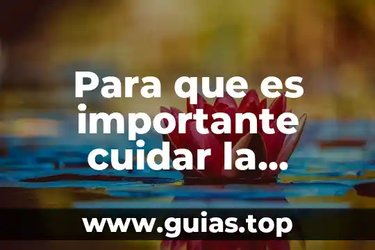 Qué es la biodiversidad concepto general 5 Para que es importante cuidar la biodiversidad