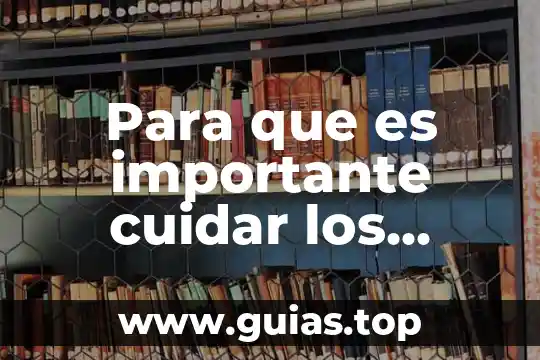 Por que es importante ser cursi 5 Para que es importante cuidar los ecosistemas