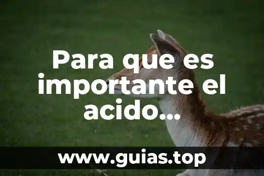 Por que es importante cuidar el ciclo del agua 3 Para que es importante el acido clorhídrico para la criminalistica