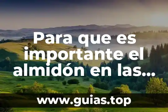Por que es importante el culto a la verdad 6 Para que es importante el almidón en las comidas