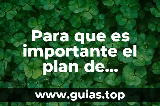 Para ti que es importante la historia en tu vida 8 Para que es importante el plan de capacitacion