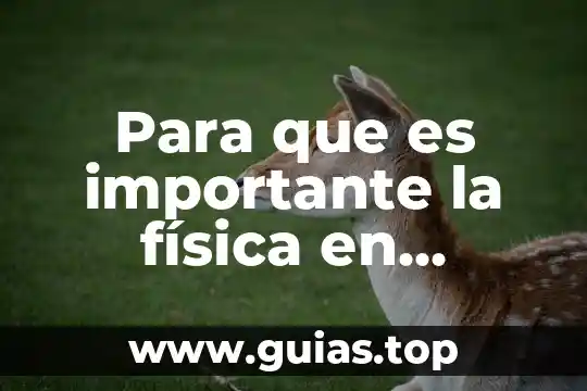 Mujeres en el sepulcro una historia que es nuestra 4 Para que es importante la física en nuestra vida