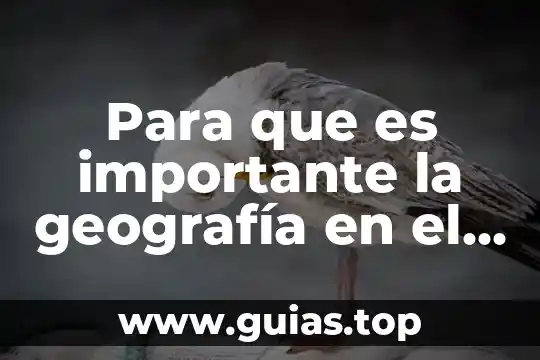 Por qué es importante habitar la Luna 8 Para que es importante la geografía en el ser humano
