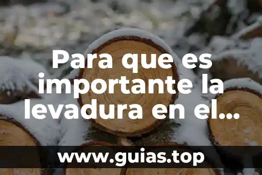 Que es la vida de pan triste 4 Para que es importante la levadura en el pan