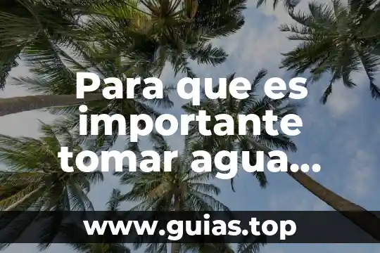 Qué es mejor tomar agua de la llave o purificada 3 Para que es importante tomar agua cuando te enfermas