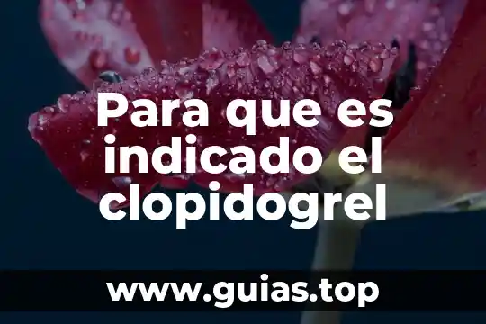 Que es la depresion y tipos 6 Para que es indicado el clopidogrel