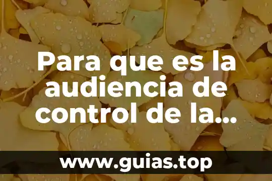 Qué es la audiencia preliminar oral en mercantil concepto 8 Para que es la audiencia de control de la detencion