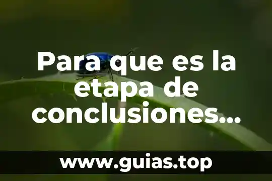 Que es la muerte en derecho penal 7 Para que es la etapa de conclusiones en materia penal