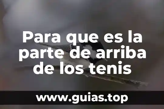 Que es corola parte de la flor 6 Para que es la parte de arriba de los tenis