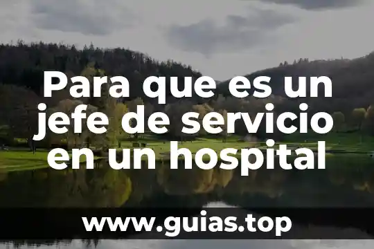 Que es la evaluacion en el servicio docente 5 Para que es un jefe de servicio en un hospital
