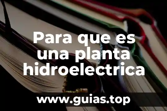 Qué es una meta personal ejemplos 5 Para que es una planta hidroelectrica