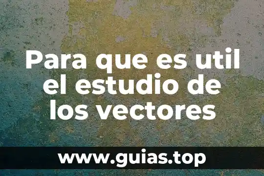 Que es la fuerza resultante respecto a vectores 6 Para que es util el estudio de los vectores