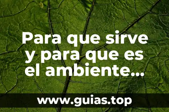 Que es principio de importancia relativa 6 Para que sirve y para que es el ambiente virtual