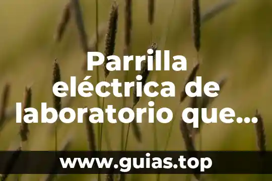 Cerca eléctrica que es 7 Parrilla eléctrica de laboratorio que es