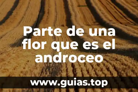 Que es un sistema de alojamiento 5 Parte de una flor que es el androceo