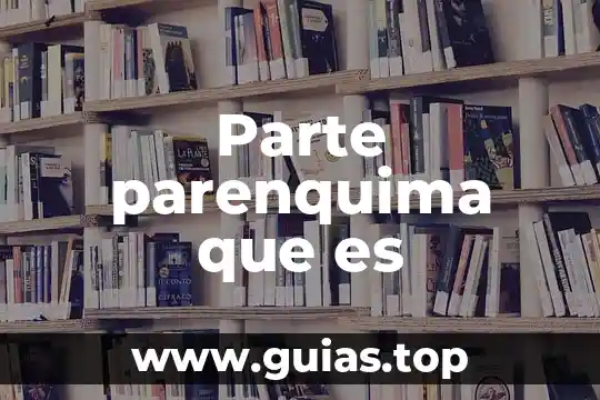 Materias no a otra parte especificaciones que es 3 Parte parenquima que es