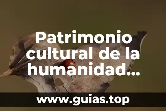 Que es el patrimonio cultural dela humanidad regional de altotonga 8 Patrimonio cultural de la humanidad regional que es